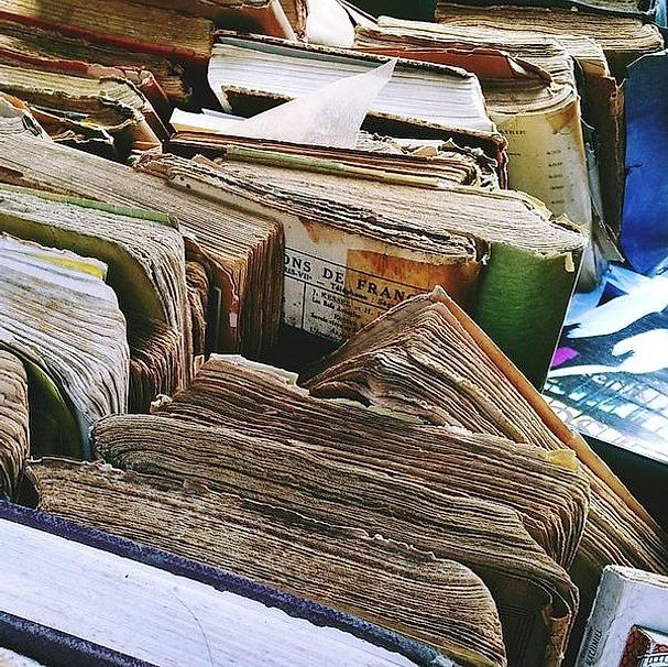 صورة لمسؤول القسم الثقافي والندوات